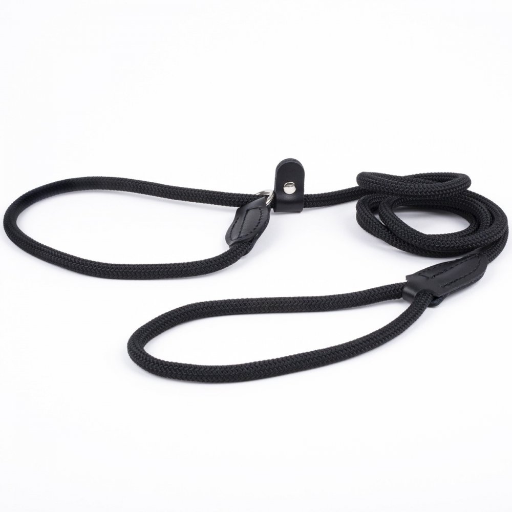 Näyttelyhihna Show Dog noutaja, musta