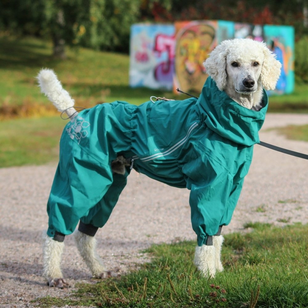 Hurtta Mudventure ECO -koiran sadehaalari, riikinkukko (25S)