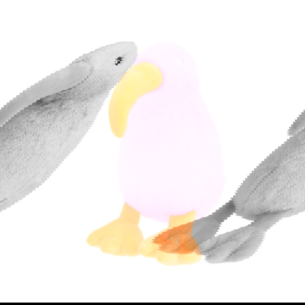 Little&Bigger All Stars Kiwilintu