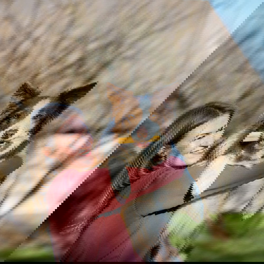 Effe Chews juustopuruluu koiralle (L)