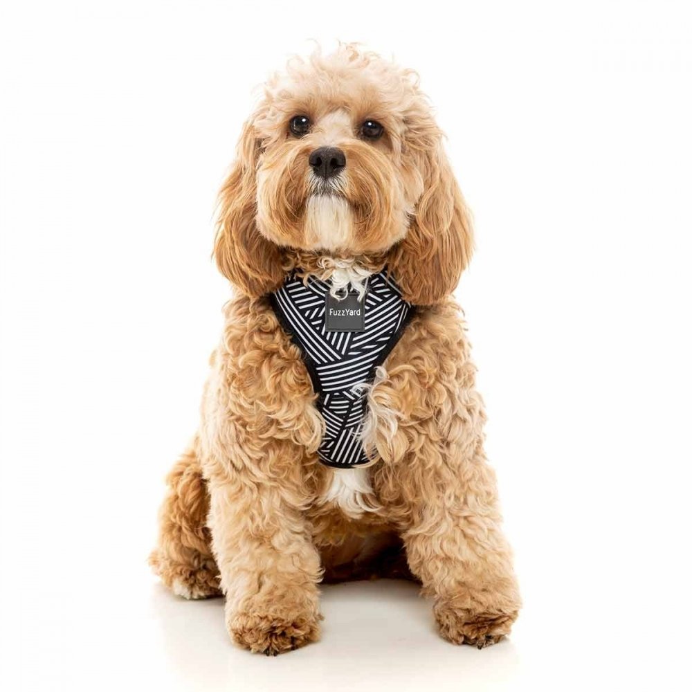 FuzzYard koiran valjaat Northcote (XS)