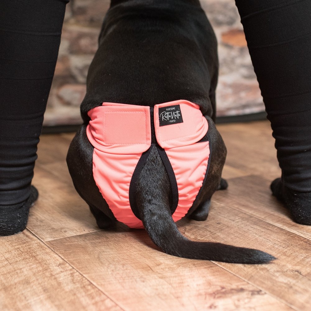 RuttuNuttu juoksupöksyt ja vaihtositeet, persikka (XL)