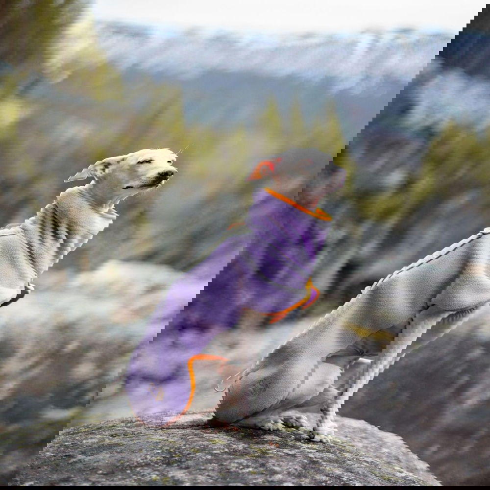 Woolly Wolf Alpha 360 Fleecepusakka, Lavender Mix (27 cm)