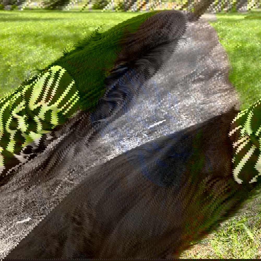 Tuubihuivi Basic Repeltec, seepraprintti