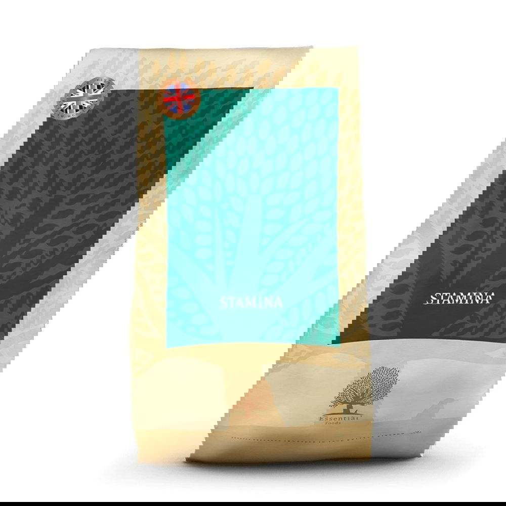 ESSENTIAL STAMINA 10kg