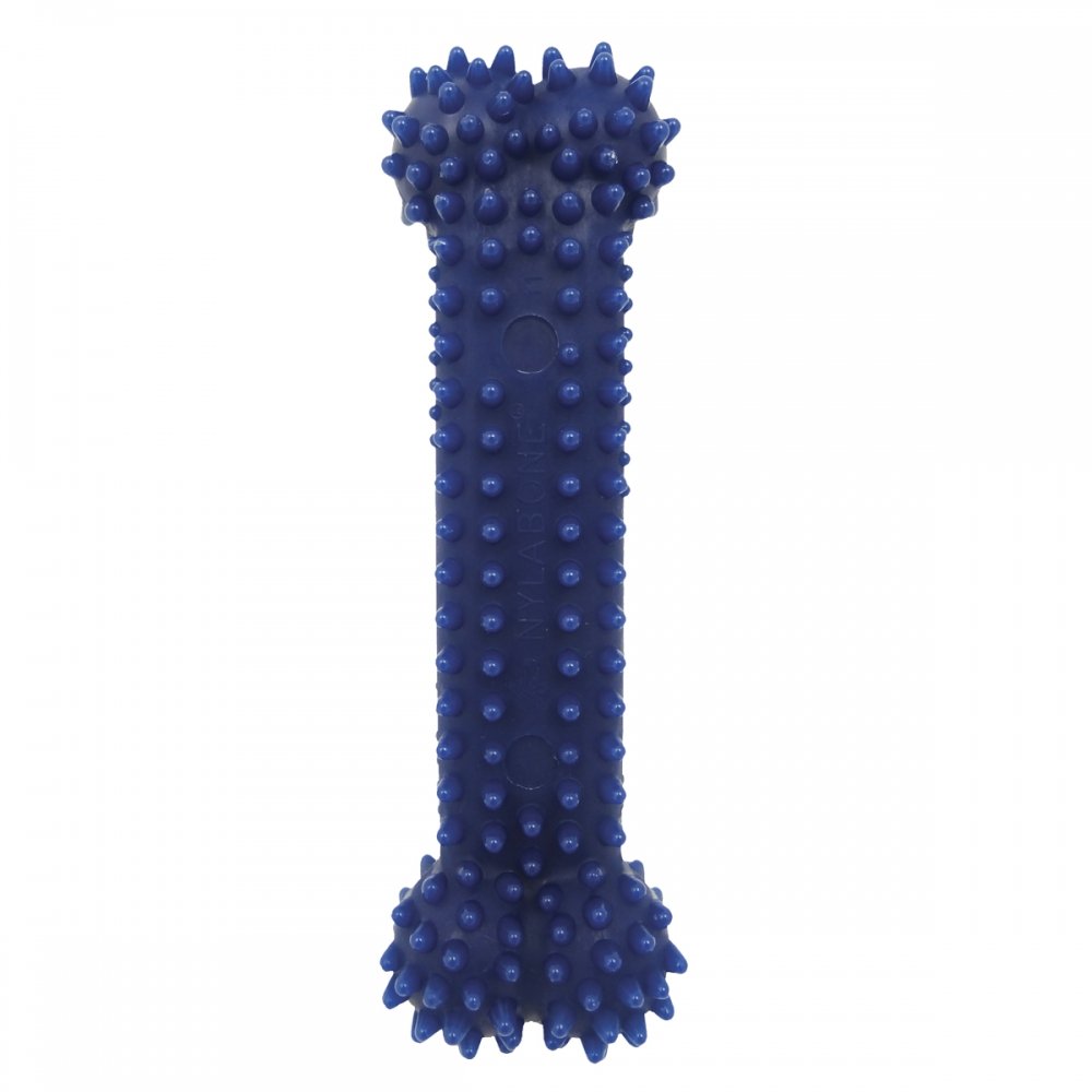 Nylabone Moderate Dental Chicken (M)