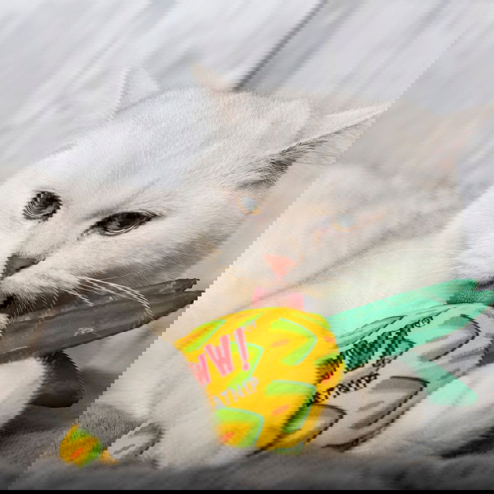 Yeowww! Kissanminttulelu Ananas