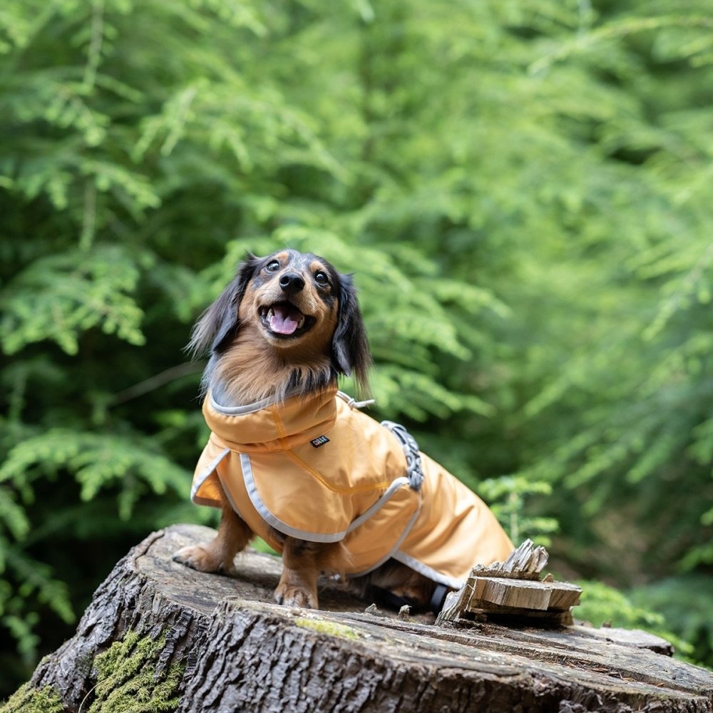 Viilennystakki koiralle Rukka Crisp UV (30)