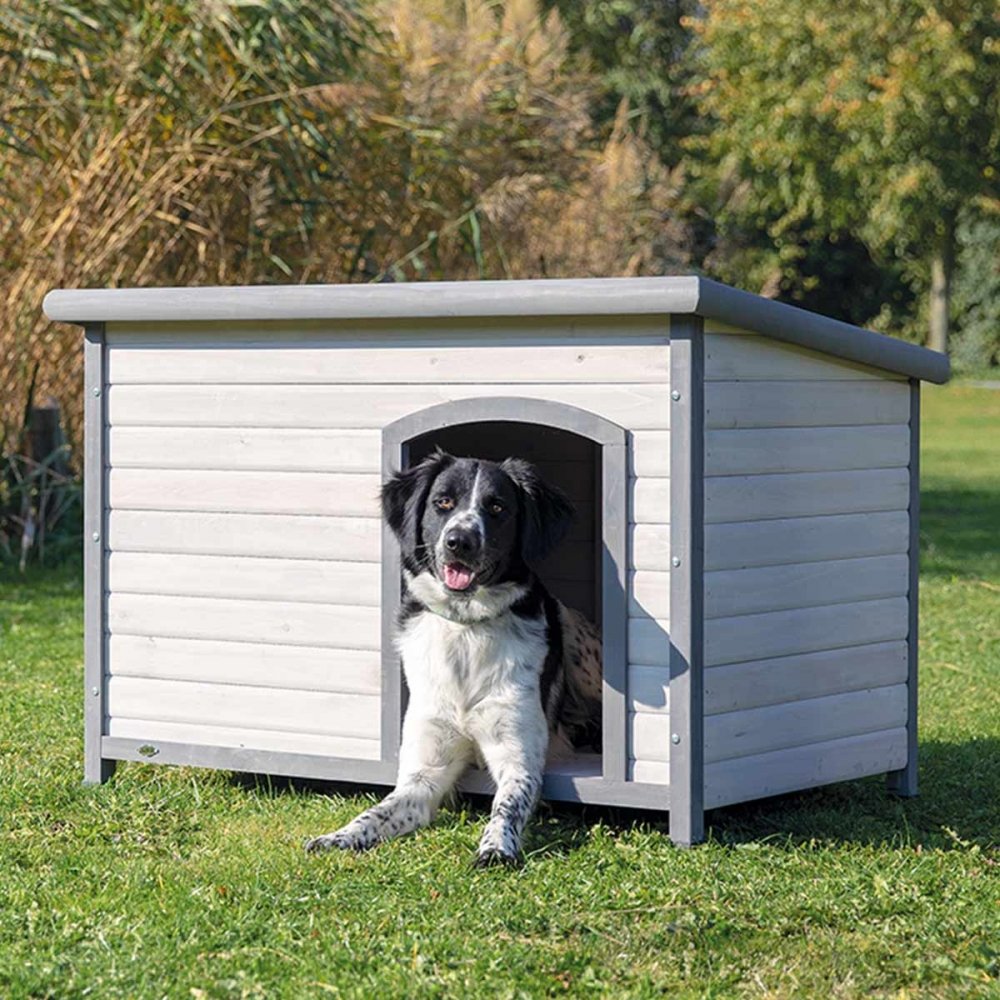 Koirankoppi tasakatolla Trixie (L)