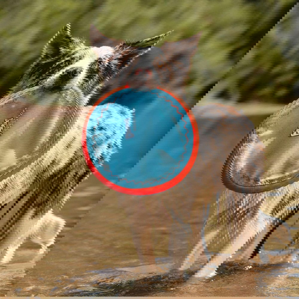 Chuckit Paraflight L