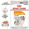 Royal Canin Coat Care wet 12 x 85 g