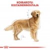 Royal Canin Golden Retriever Adult 12 kg
