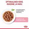 Royal Canin Kitten Gravy, 12x85g