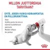 Royal Canin Babydog Milk