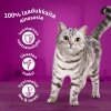 Whiskas 1+ gravy 40x85 g