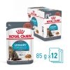 Royal Canin Urinary Care Gravy 12x85g