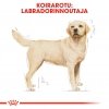 Royal Canin Labrador Retriever Adult 12 kg