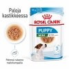 Royal Canin Mini Puppy Wet 12 x 85 g