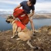 Ruffwear koiran reppu Palisades Pack, punainen