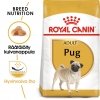 Royal Canin Pug Adult