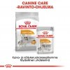 Royal Canin Coat Care wet 12 x 85 g