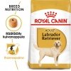 Royal Canin Labrador Retriever Adult 12 kg