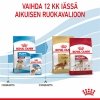 Royal Canin Medium Puppy