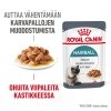 Royal Canin Hairball Care, 12x85g