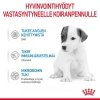 Royal Canin Babydog Milk
