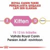 Royal Canin Persian Kitten