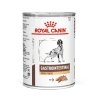 Royal Canin Veterinary Diets Dog Gastrointestinal High Fibre Loaf 12x410g (12x410 g)