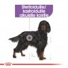 Royal Canin Maxi Sterilised, 12 kg