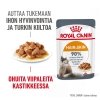 Royal Canin Hair & Skin Care Gravy, 12x85g
