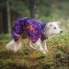 SadePomppa koiran takki, cosmos