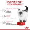 Royal Canin Kitten