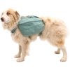 Koiranreppu Ruffwear Front Range, River Rock Green