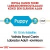 Royal Canin Labrador Retriever Puppy 12 kg