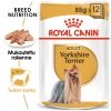 Royal Canin Yorkshire Wet 12 x 85 g