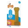 Nylabone Puppy Bone (S)