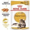 Royal Canin Maine Coon Wet 12 x 85 g