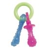 Nylabone Puppy Teething Pacifier XS