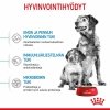 Royal Canin Medium Starter