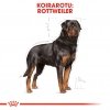 Royal Canin Rottweiler Adult 12 kg