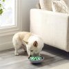 Ahmimisenestokuppi Outward Hound Wobble bowl