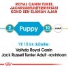 Royal Canin Jack Russel Puppy, 1,5 kg