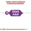 Royal Canin Giant Adult 15 kg