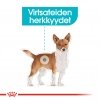 Royal Canin Urinary Care Mini