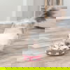 Trixie Cat Activity HidenSniff Bowl