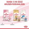 Royal Canin Kitten Loaf, 12x85g