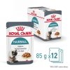 Royal Canin Hairball Care, 12x85g